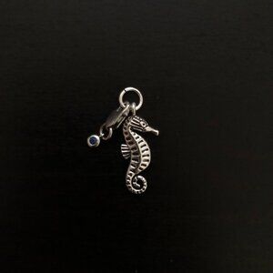 Seahorse - Silver Tone Pendant Charm + Blue Stone Lobster Clasp
